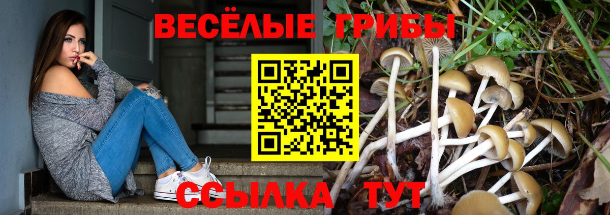 Галлюциногенные грибы MAGIC MUSHROOMS  Вход с VPN  купить наркотики цена  Отрадное 