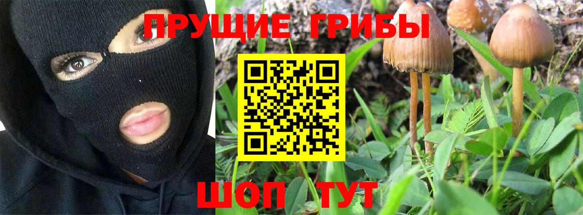 Галлюциногенные грибы мицелий Отрадное