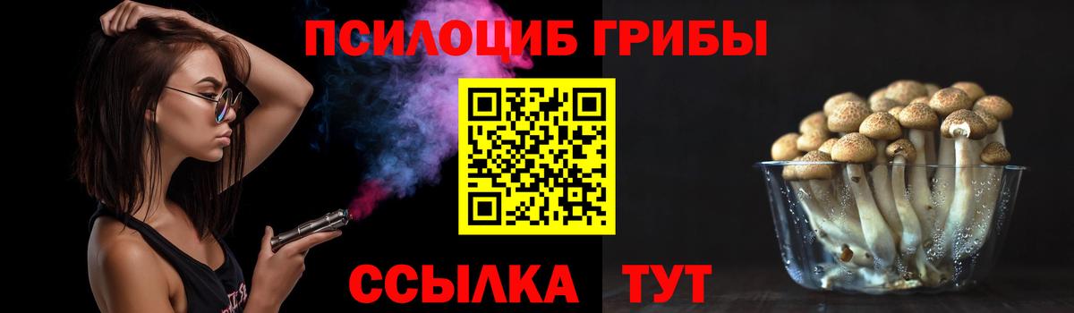 Псилоцибиновые грибы GOLDEN TEACHER  Галлюциногенные грибы ЛСД  Отрадное 